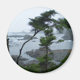 Tofino Rain Magnet