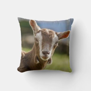 Toggenburg Dairy Goat Kid Kissen
