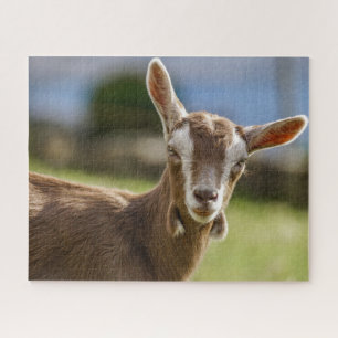 Toggenburg Dairy Goat Kid Puzzle