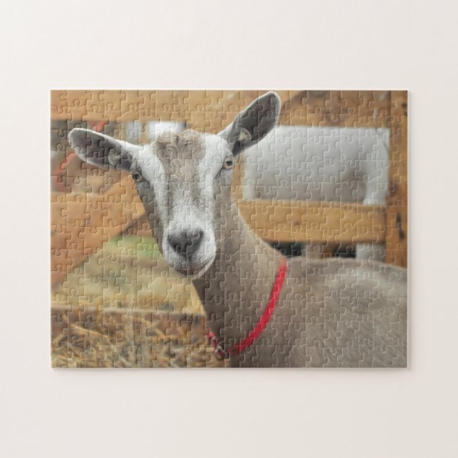 Toggenburg Dairy Goat Puzzle (Horizontal)