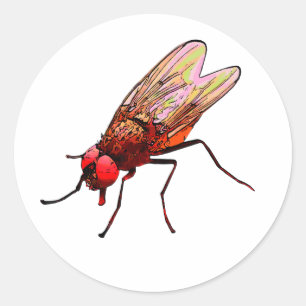 Toilettenaufkleber für Pissoir Runder Aufkleber