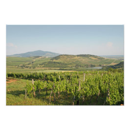 Tokaj Weinberge, Ungarn Fotodruck