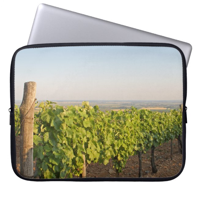 Tokaj Weinberge, Ungarn Laptopschutzhülle (Vorderseite)