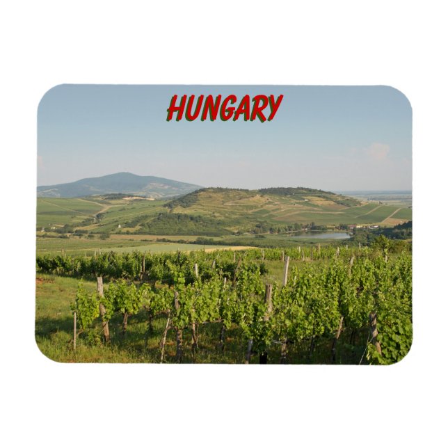 Tokaj Weinberge, Ungarn Magnet (Horizontal)