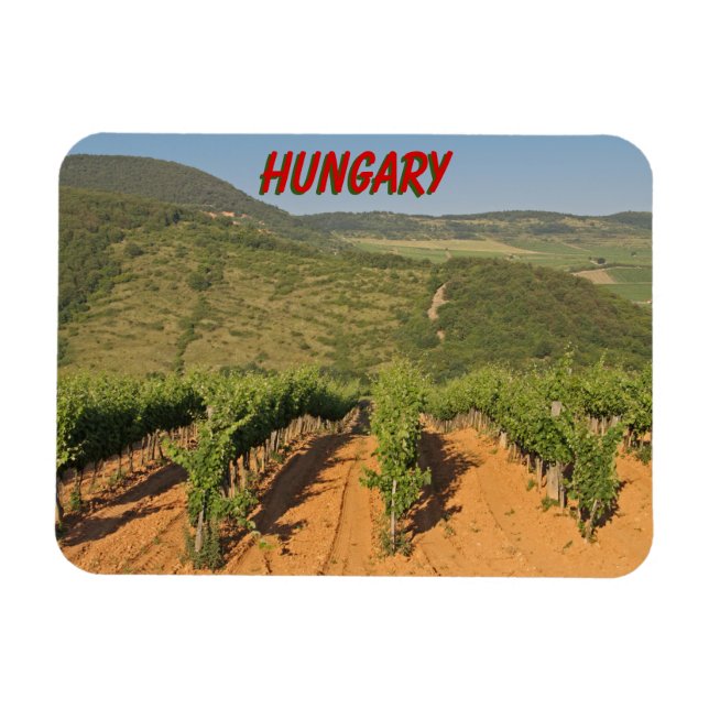 Tokaj Weinberge, Ungarn Magnet (Horizontal)