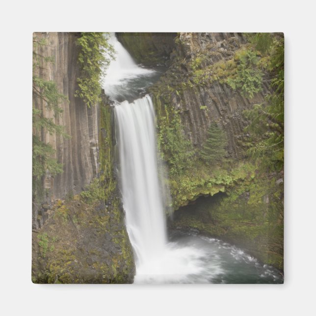 Toketee Falls in Douglas Landkreis, Oregon Magnet (Vorne)