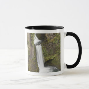 Toketee Falls in Douglas Landkreis, Oregon Tasse
