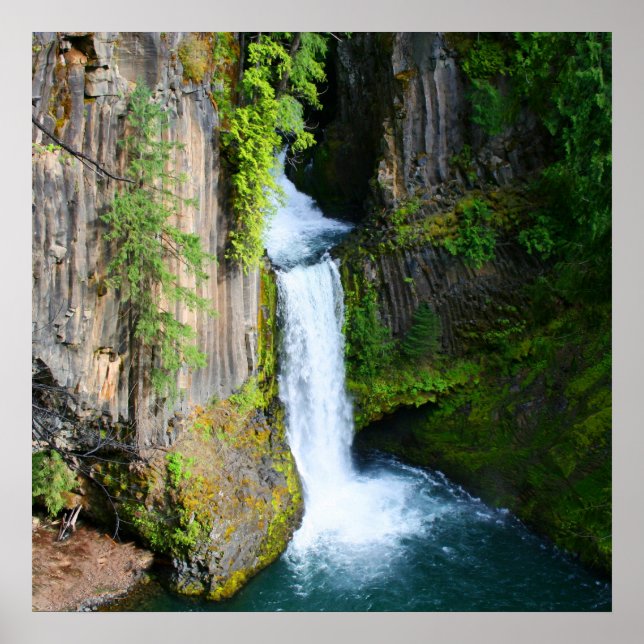 Toketee Falls Poster (Vorne)