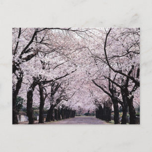 TOKYO POSTKARTE