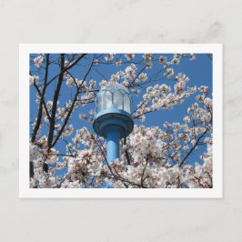 Tokyo Streetlights: Den'en Chofu Postkarte