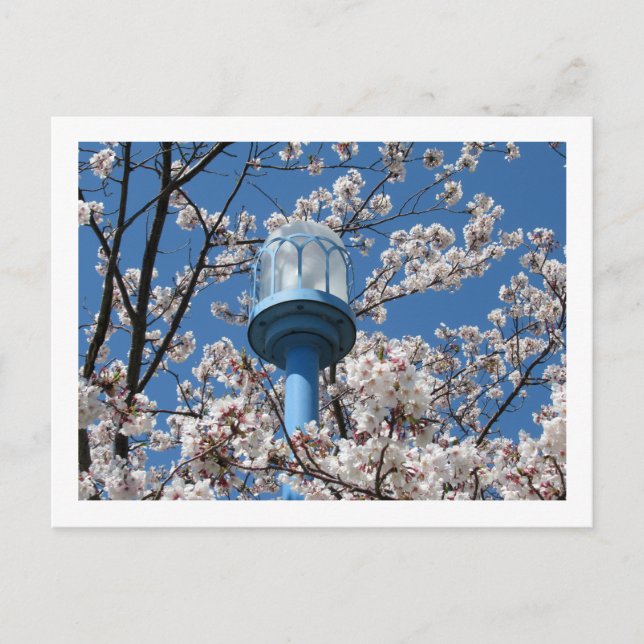 Tokyo Streetlights: Den'en Chofu Postkarte (Vorderseite)