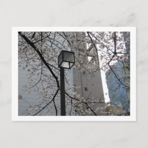 Tokyo Streetlights: Yushima Postkarte