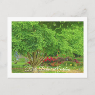 TOLEDO BOTANICAL GARDEN, TOLEDO, OHIO USA POSTKARTE