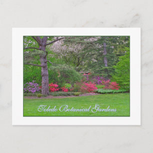 TOLEDO BOTANISCHE GARTEN, SPRING, POSTKARTE