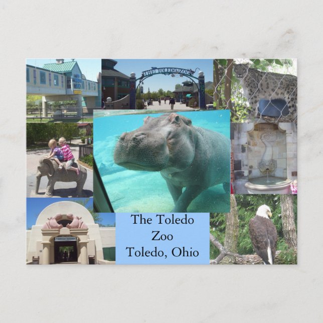 Toledo Zoo Postkarte (Vorderseite)