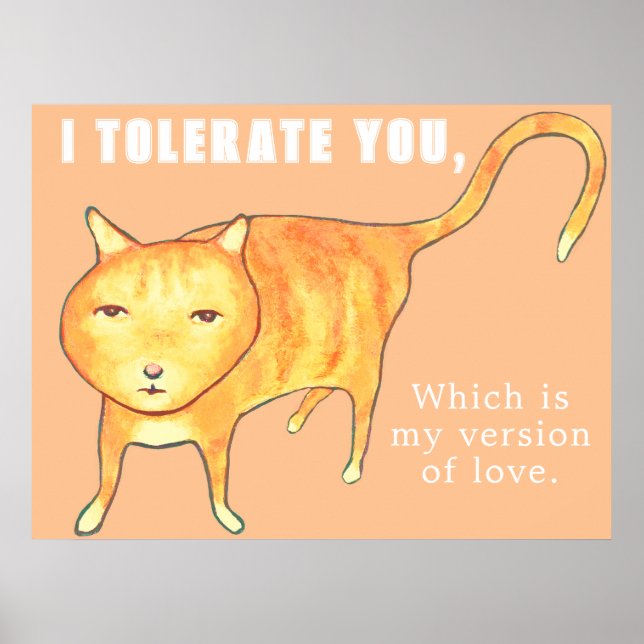Tolerante apathische orange Katze Poster (Vorne)