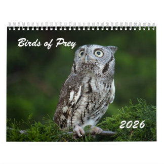 Tolle Greifvögel 2026 Fotokalender Kalender