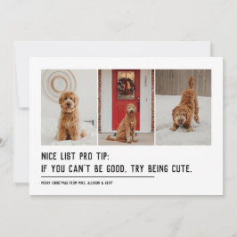 Tolle Liste lustiges Haustier drei Foto schwarz We Feiertagskarte