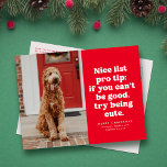 Tolle Liste pro Tipp lustiges Weihnachtsgeschenk F Feiertagspostkarte<br><div class="desc">Nette Liste pro Tipp - wenn Sie nicht gut versuchen können, niedlich zu sein. Diese festliche und lustige Weihnachts-Foto-Postkarte eignet sich ideal für einen zu niedlichen Hund, eine Katze oder ein Kind. Senden Sie Lächeln mit dieser rot-weißen 1-Foto-Urlaubspostkarte mit spielerischem Typ und individuellem Gruß. Die Rückseite hat eine Rücksendeadresse und...</div>