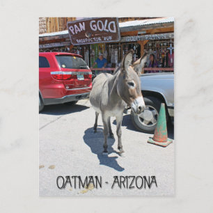 Tolle Oatman Postcard! Postkarte