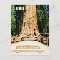 Tolle Sequoia Postcard!