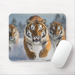 Tolle Tiger-Mauspad! Mousepad