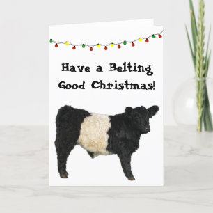 Tolle Weihnachten Belted Galloway Beltie Kuh Karte
