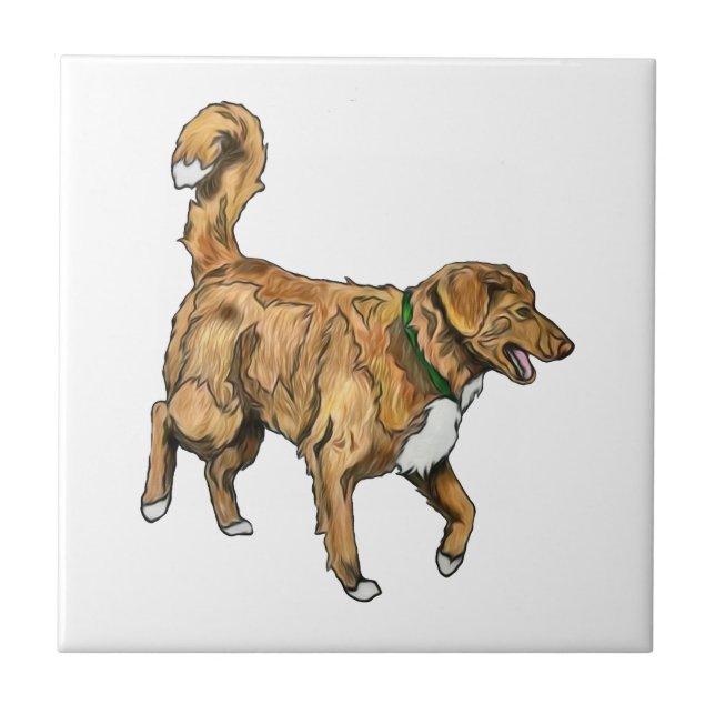 Toller-Fliese Fliese (Vorderseite)