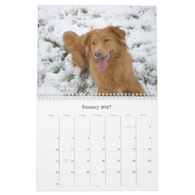 Toller-Kalender Kalender (Jan 2027)