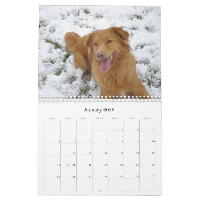 Toller-Kalender Kalender (Jan 2026)