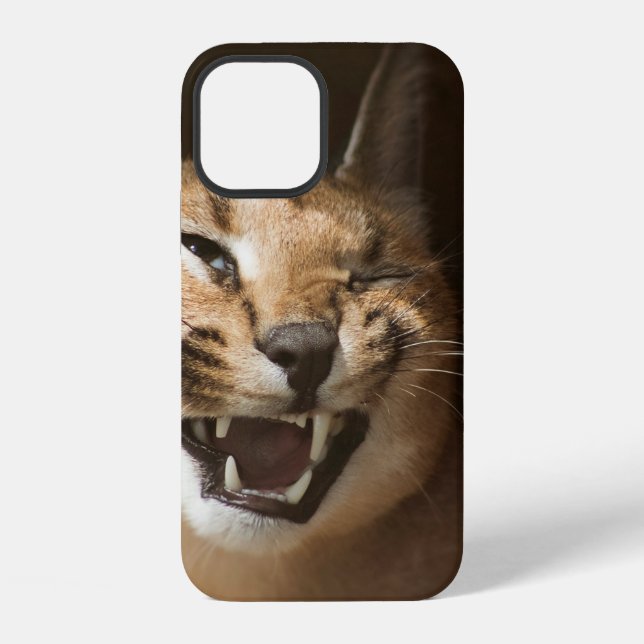 Toller Luchs iPhone Hülle (Rückseite)