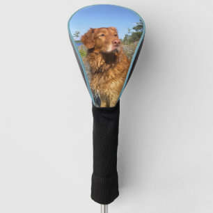 Toller naß golf headcover