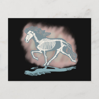 Tölter skeleton  postkarte