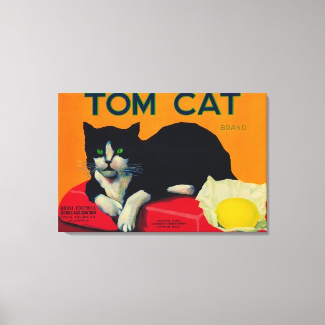 Tom Cat Lemon LabelOrosi, CA Leinwanddruck (Vorderseite)
