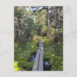 Tom New Hampshire Postcard Postkarte