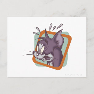 Tom Scaredy Cat Postkarte
