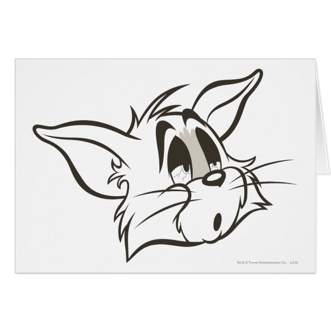 Tom Sleepy Cat (Vorderseite (Horizontal))