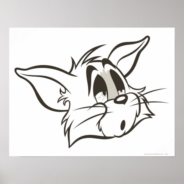 Tom Sleepy Cat Poster (Vorne)