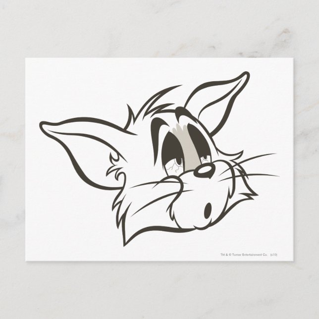 Tom Sleepy Cat Postkarte (Vorderseite)