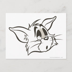 Tom Sleepy Cat Postkarte