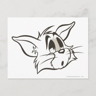 Tom Sleepy Cat Postkarte