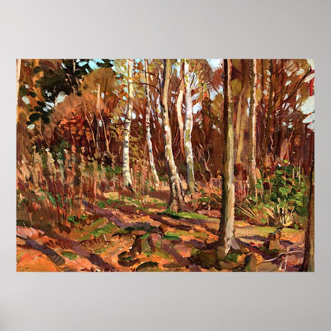 Tom Thomson - Blick auf den Algonquin Park Poster (Vorne)