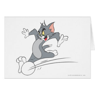 Tom und Jerry Soccer (Fußball) 3