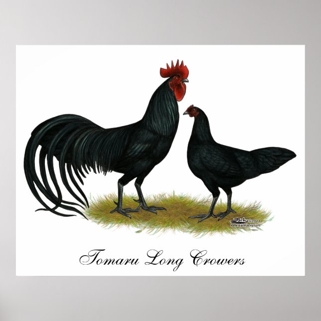 Tomaru Long Crower Chickens Poster (Vorne)