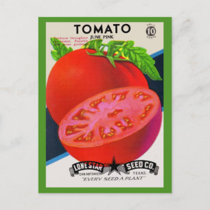 Tomate aus Saatgutpackungen der 50er Jahre Postkarte