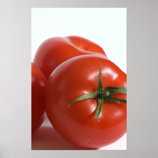 Tomate Poster (Vorne)