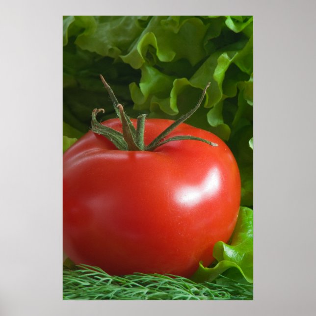 Tomate Poster (Vorne)