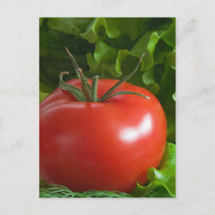 Tomate Postkarte