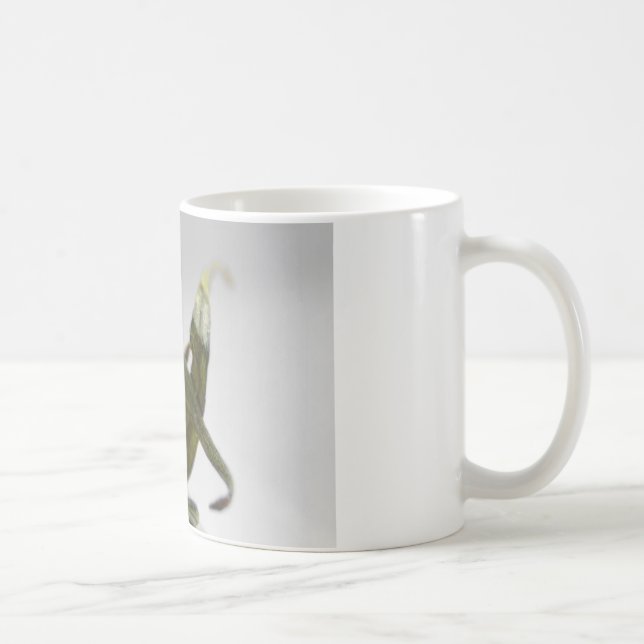 Tomate Tasse (Rechts)