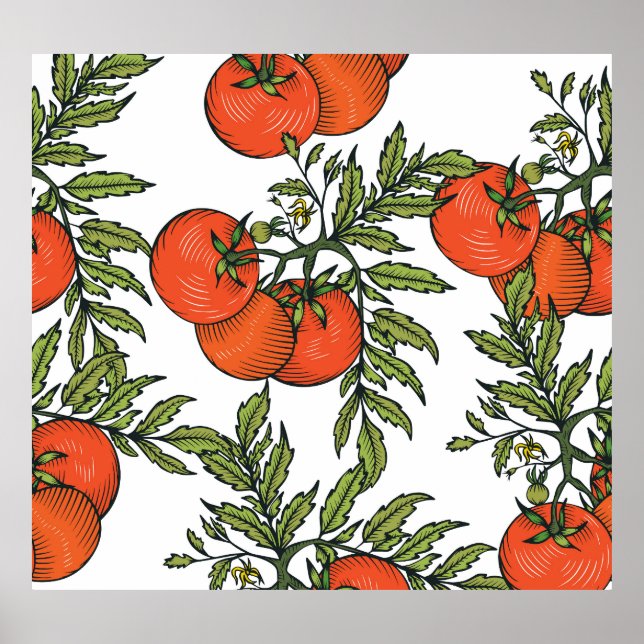 Tomate Vintag: Illustration des Agrarmarktes. Poster (Vorne)